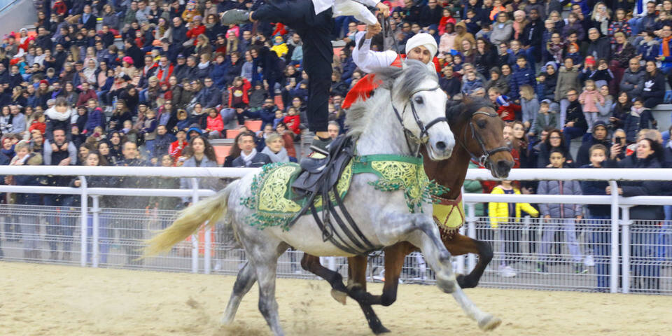 Animations immersives - Hippodromes de Lyon