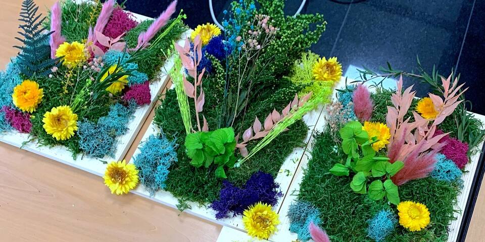 Atelier petit cadre végétal - Captain Vegetal