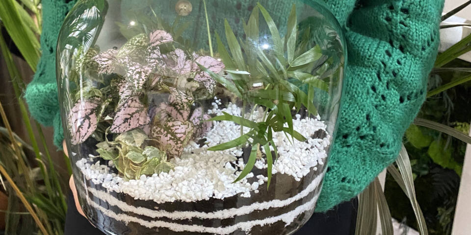 Atelier terrarium - Captain Vegetal