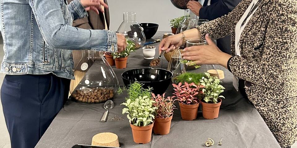 Atelier terrarium - Captain Vegetal