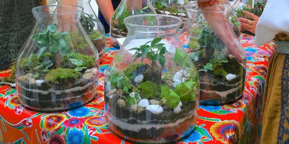 Atelier terrarium - Captain Vegetal