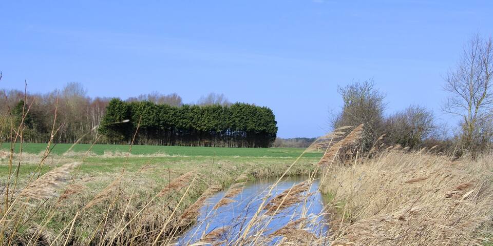 Baie de Somme Exploration - A la découverte du Marquenterre