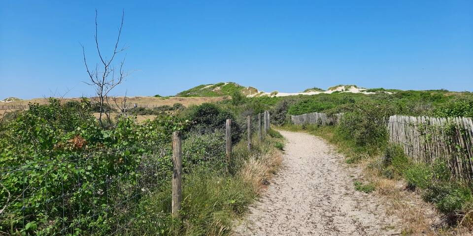 Baie de Somme Exploration - Les Dunes du Royon
