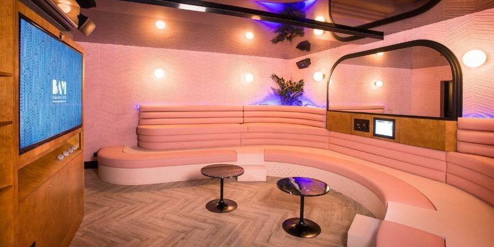 BAM Karaoke Box Parmentier