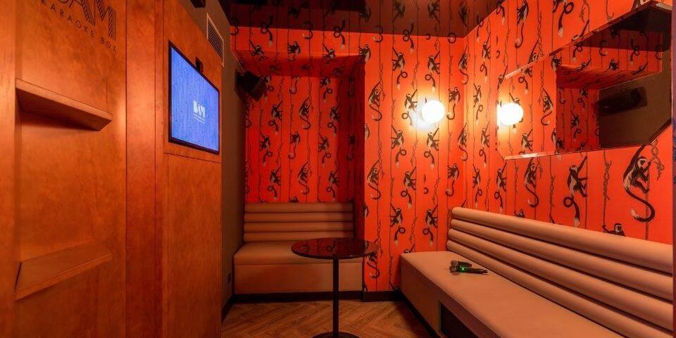 BAM Karaoke Box Parmentier