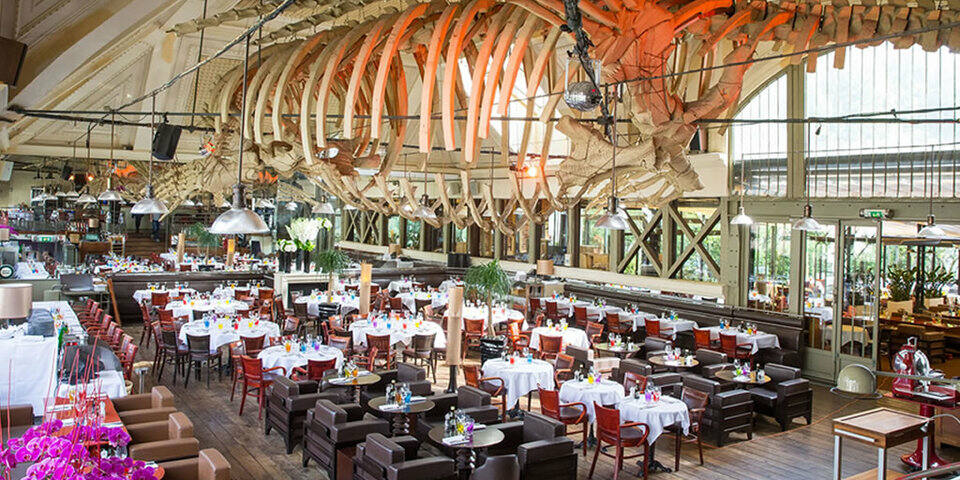 restaurant