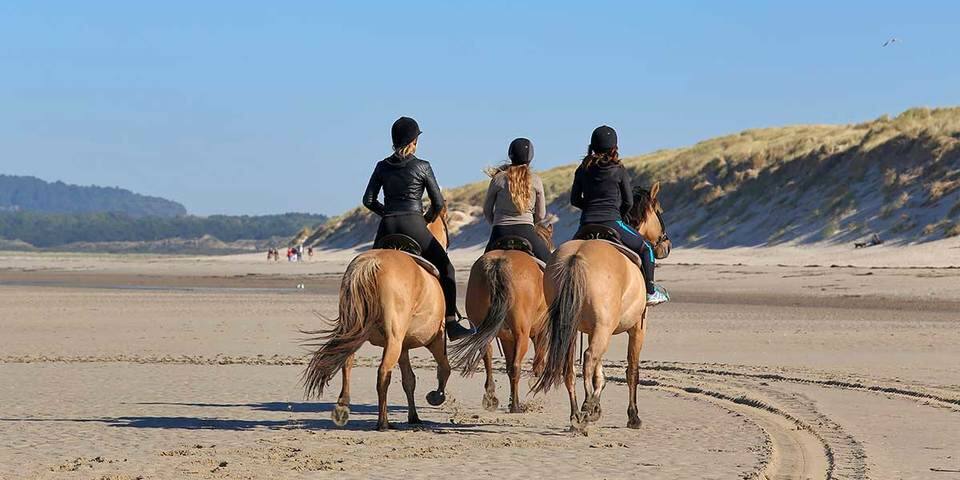 Centre Équestre du Touquet Paris-Plage
