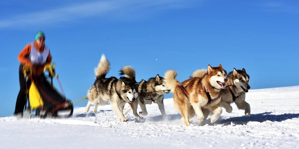 Challenge des neiges