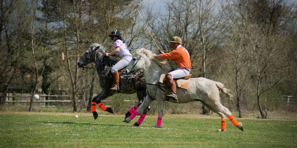 Challenge du Polo Club de Chantilly