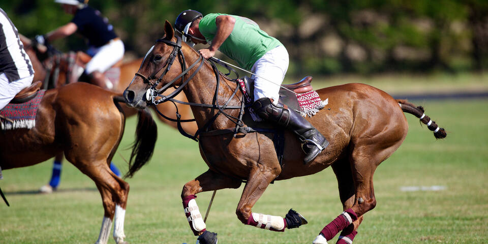 Challenge du Polo Club de Chantilly