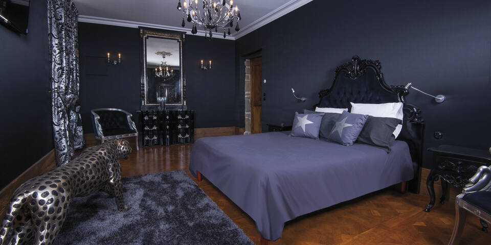 Château de Servolex - chambre