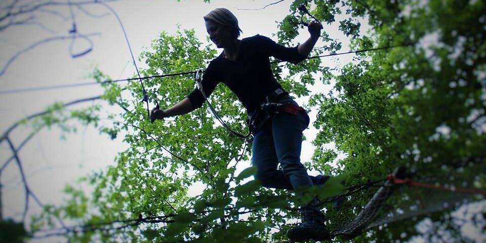 Cimes Aventures