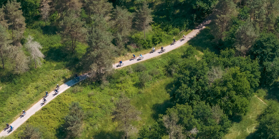 Cycling Tour Company