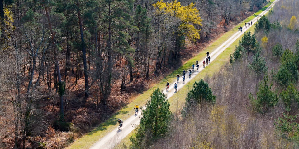 Cycling Tour Company