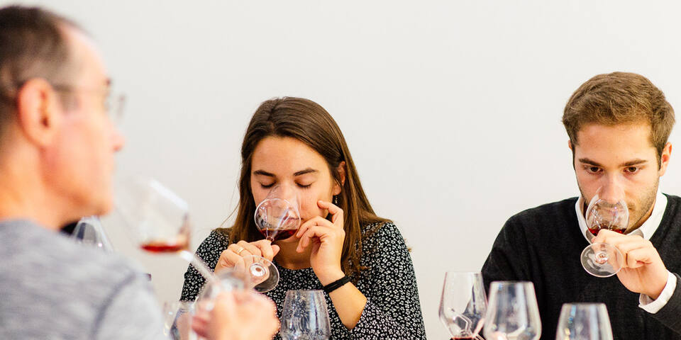 Dégustation de vins