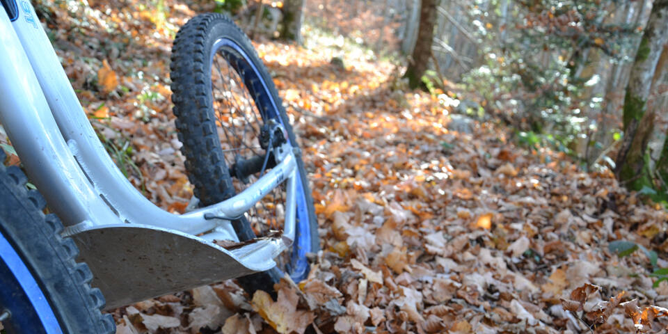 Dévalez les pentes en trottinette tout terrain