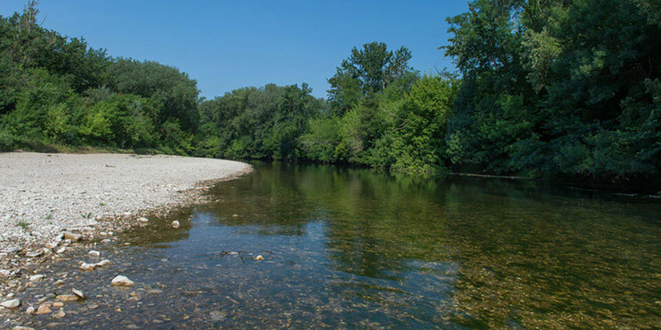 Domaine de Gressac — divers