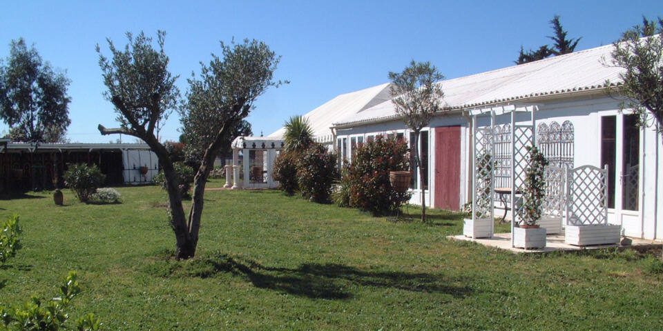 Domaine de l'ambre — divers