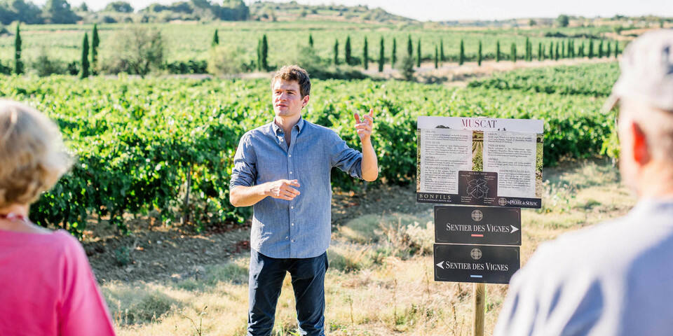 Domaine St-Pierre de Serjac — divers