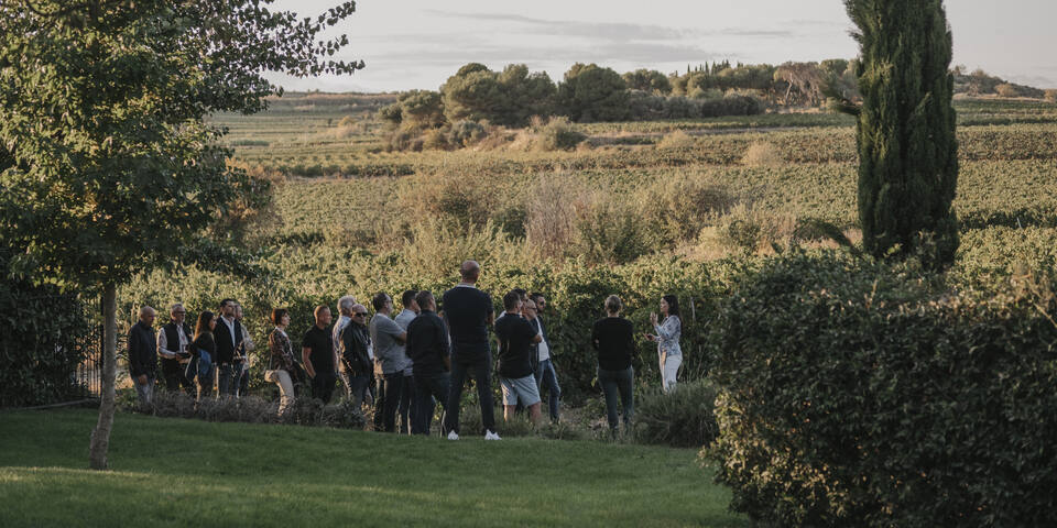 Domaine St-Pierre de Serjac — divers