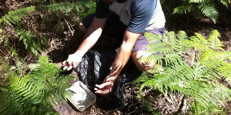 Environnement & survie