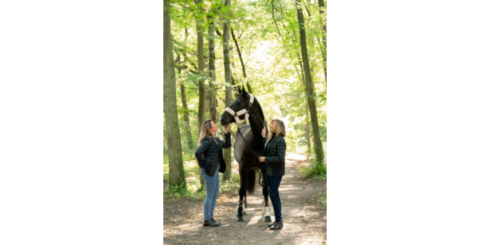 Equicoaching