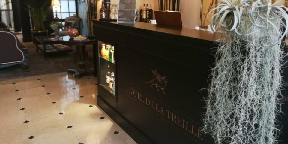 Hôtel de la Treille — divers