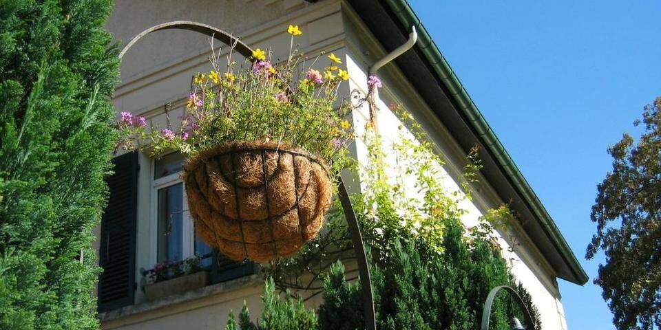 Hôtel Le Relais d'Aumale - facade