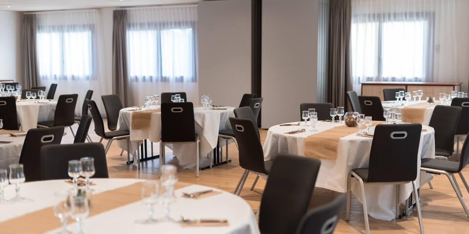Ibis Béziers Est Méditerranée — salles_reunion