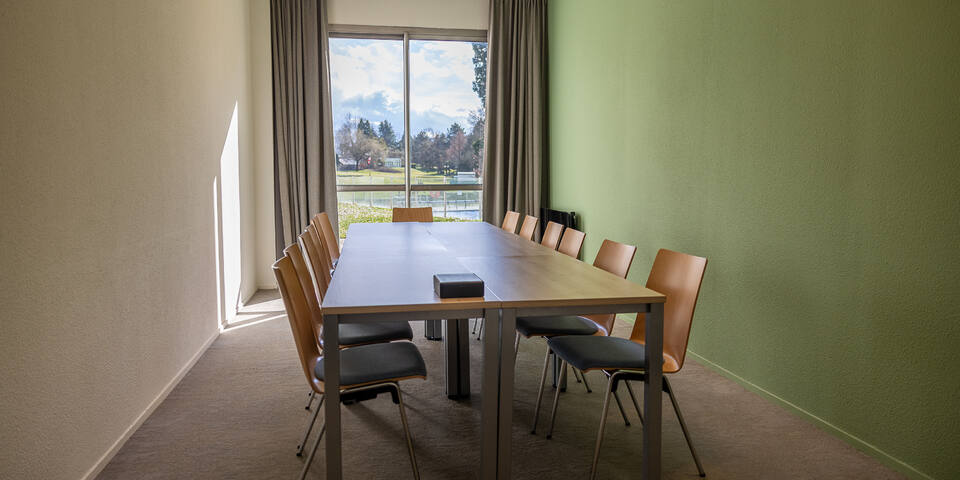 Ibis Styles Aix-les-Bains Domaine de Marlioz - salles_reunion