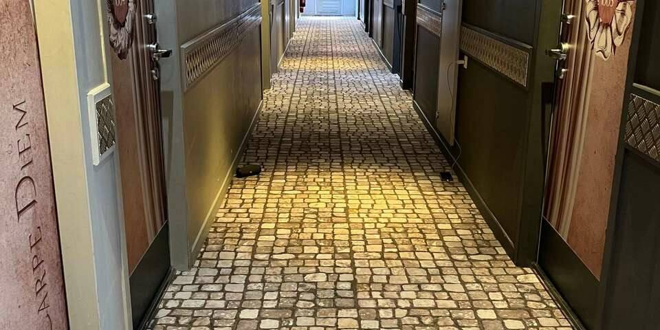 ibis Styles Nîmes Gare Centre — chambre