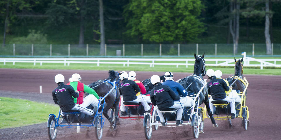 Initiation au trot attelé