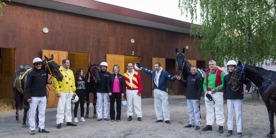 Initiation au trot attelé
