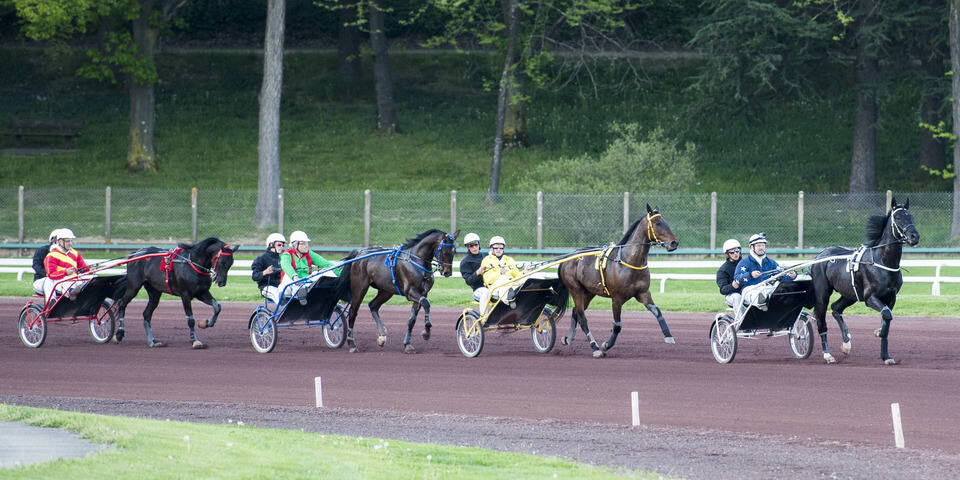 Initiation au trot attelé