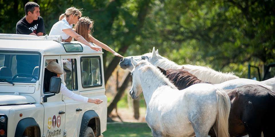 La Camargue autrement en 4X4 ou en vélo électrique