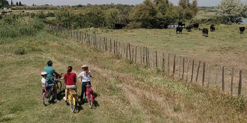 La Camargue autrement en 4X4 ou en vélo électrique