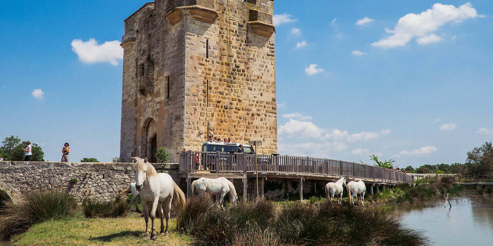 La Camargue autrement en 4X4 ou en vélo électrique
