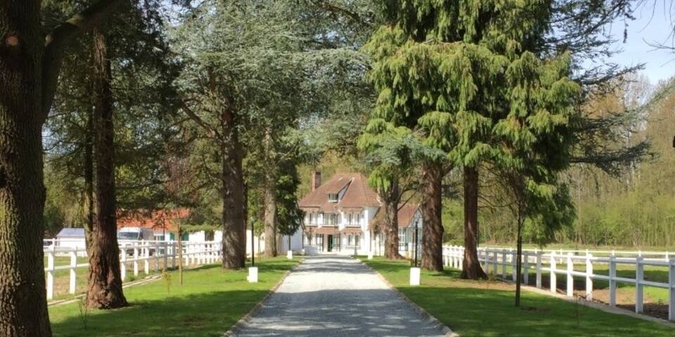 Le manoir des Essarts - master