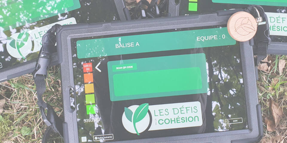 Les Défis de la Cohésion