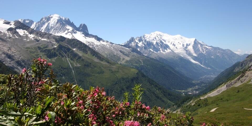 Les Grands Montets Hôtel & Spa - divers
