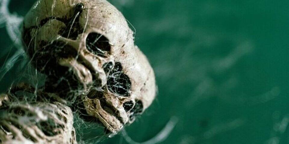 L'inconnu ne fait pas peur - The Grand Asylum