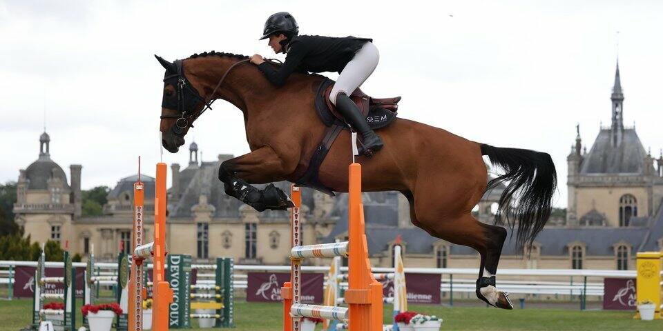 Louvaris Equi