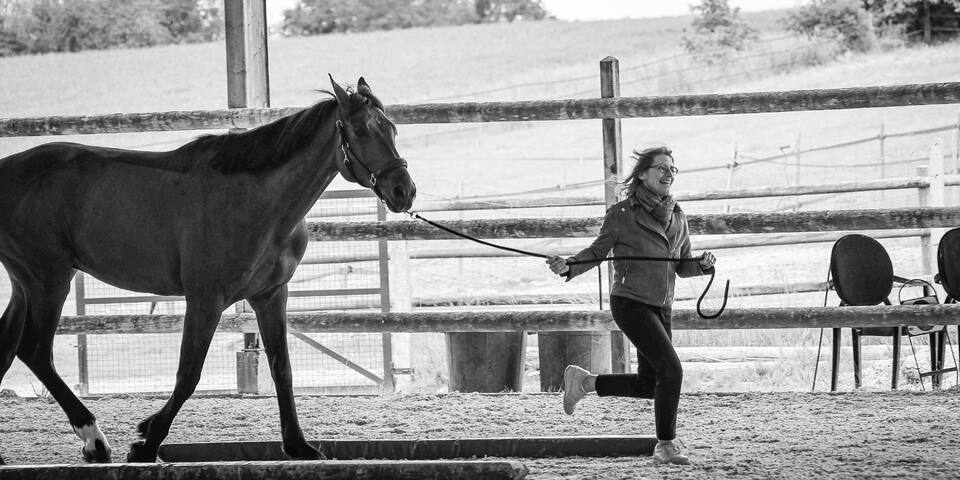 Louvaris Equi
