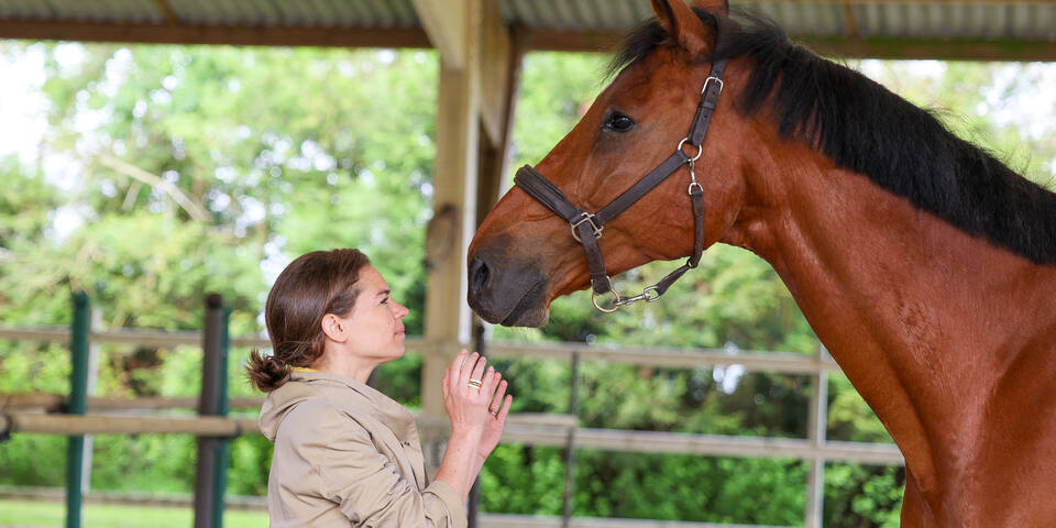 Louvaris Equi