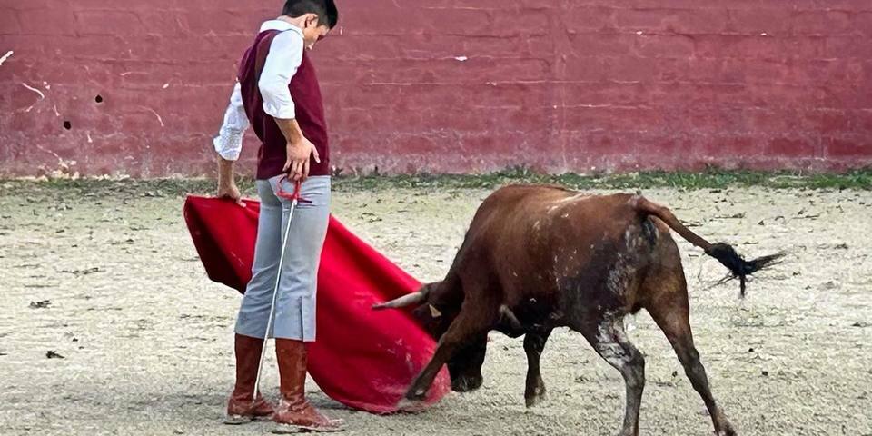 Manade Fernay - Mas des Jasses de la Ville - Arles Camargue