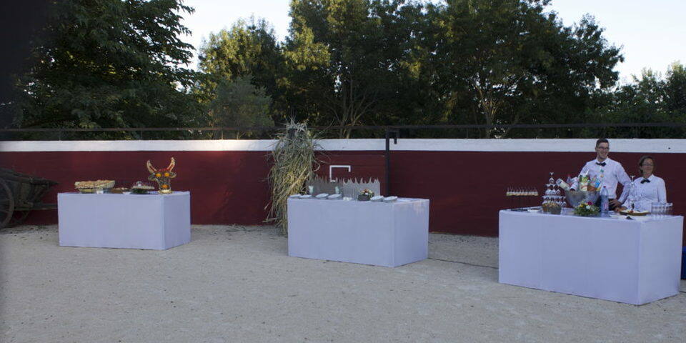 Manade Fernay - Mas des Jasses de la Ville - Arles Camargue