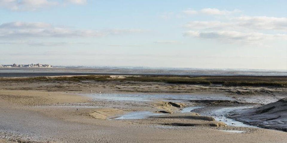 Nettoyer la Baie