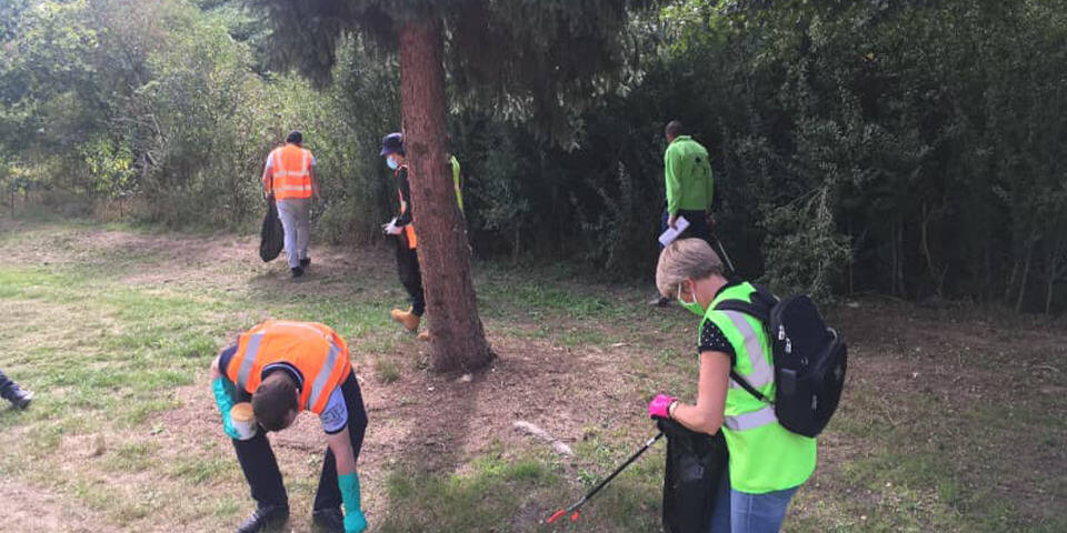 Nettoyer la Forêt