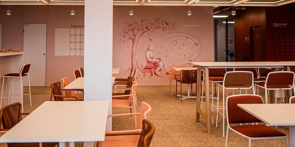 Newton Offices - Villeneuve d'Ascq Haute Borne — salles_reunion