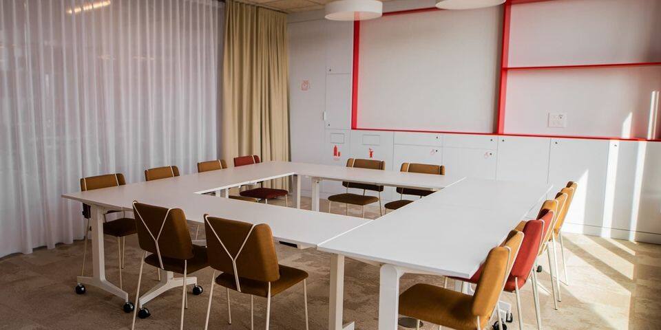 Newton Offices - Villeneuve d'Ascq Haute Borne — salles_reunion